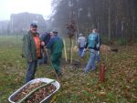 Baumplanzaktion-047.jpg