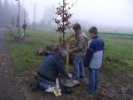 Baumplanzaktion-011.jpg